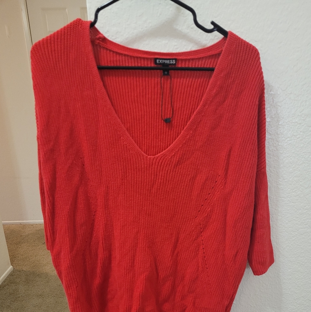 Express oversized baggy sweater